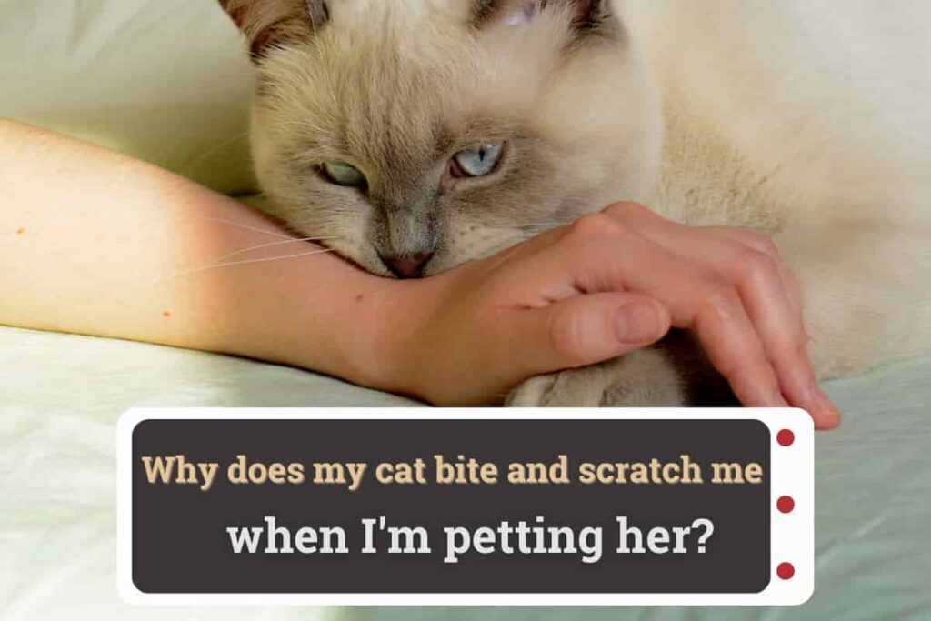 Why does my cat bite and scratch me when I'm petting her?