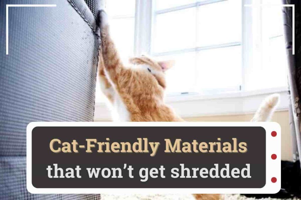 cat friendly materials that won’t get shredded