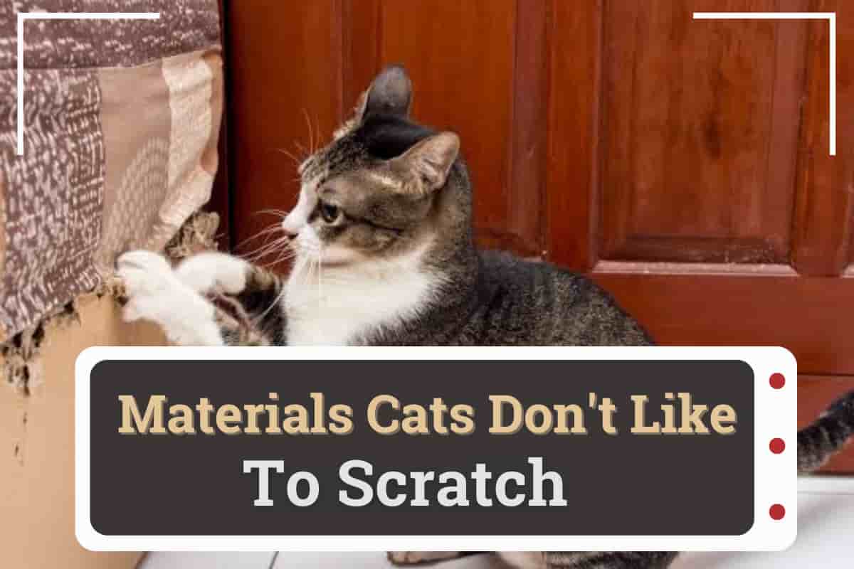 materials cats don't like to scratch